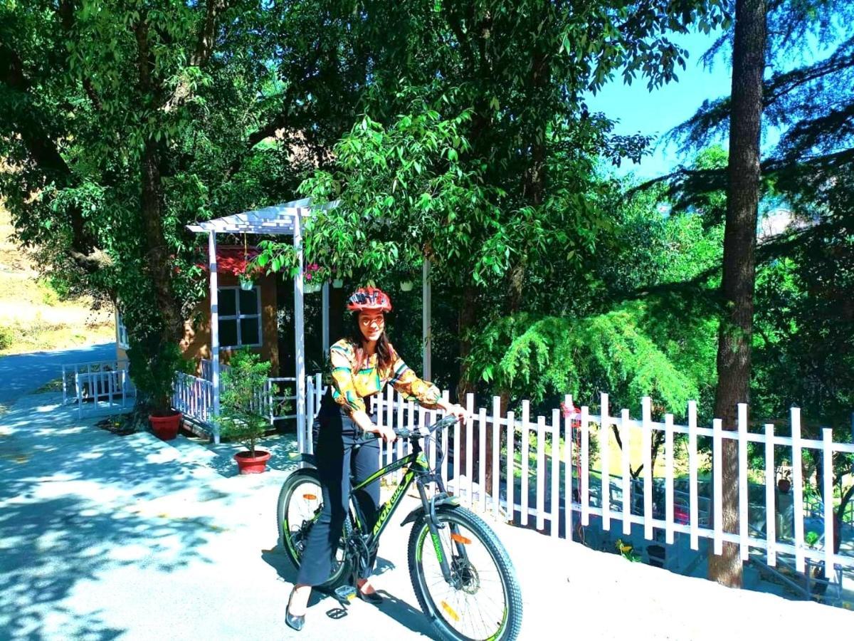 Aamod At Shoghi Luxury Cottage Resort Shimla Extérieur photo