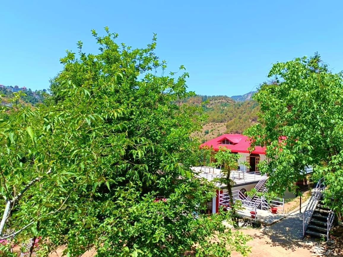 Aamod At Shoghi Luxury Cottage Resort Shimla Extérieur photo