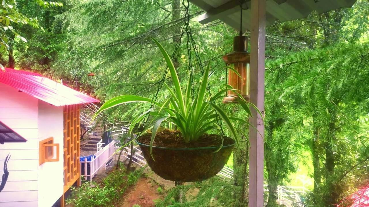 Aamod At Shoghi Luxury Cottage Resort Shimla Extérieur photo