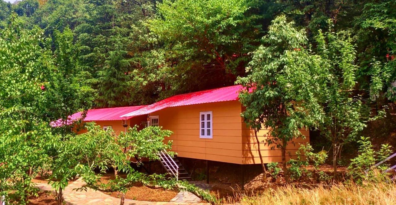 Aamod At Shoghi Luxury Cottage Resort Shimla Extérieur photo