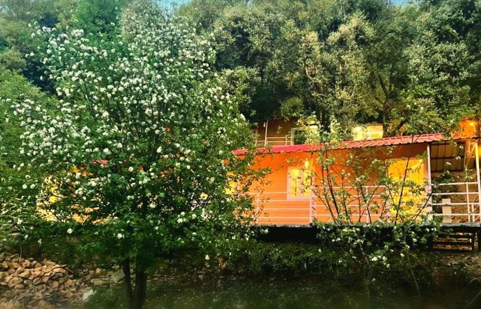 Aamod At Shoghi Luxury Cottage Resort Shimla Extérieur photo