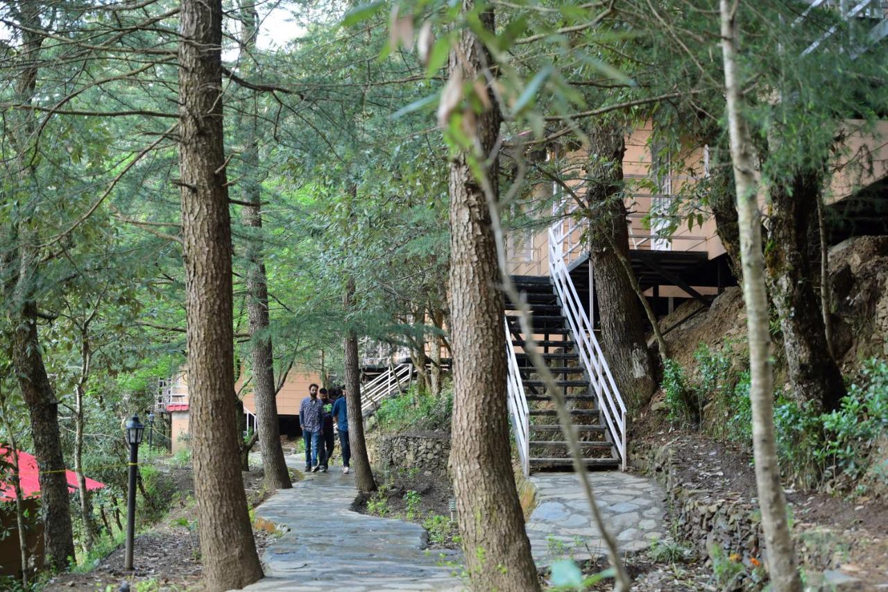 Aamod At Shoghi Luxury Cottage Resort Shimla Extérieur photo