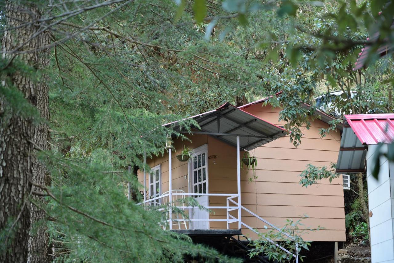 Aamod At Shoghi Luxury Cottage Resort Shimla Extérieur photo